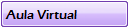 Aula Virtual